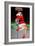 North Pole Dancer-Barry Kite-Framed Premium Giclee Print