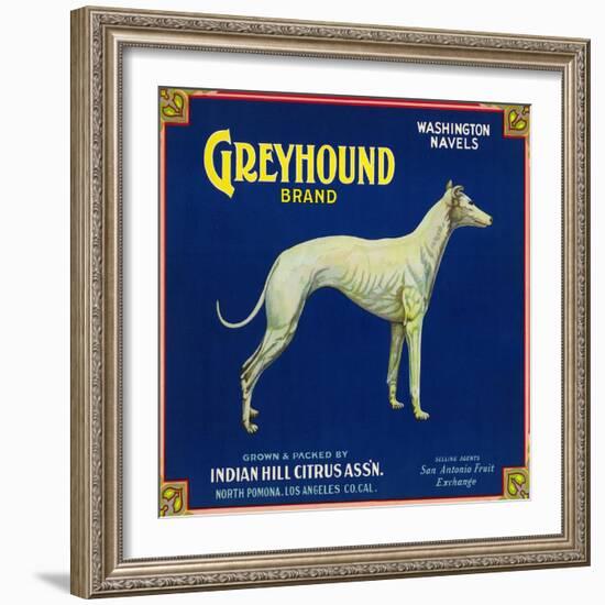 North Pomona, California, Greyhound Brand Citrus Label-Lantern Press-Framed Art Print
