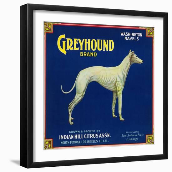 North Pomona, California, Greyhound Brand Citrus Label-Lantern Press-Framed Art Print