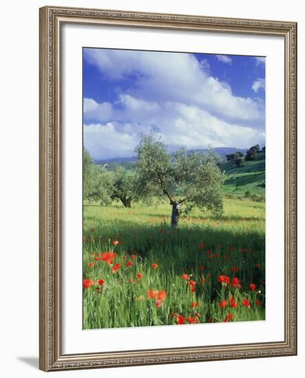 North Ronda, Andalucia, Spain-Peter Adams-Framed Photographic Print