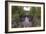 North Shore 8 hdrt-Gordon Semmens-Framed Photographic Print