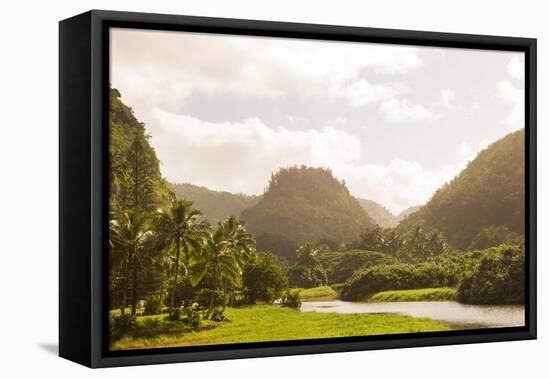 North Shore Hawaii-Karyn Millet-Framed Stretched Canvas