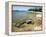 North Shore of Lake on Rocky Platform of Forested Laurentian Shield, Lake Superior, Canada-Tony Waltham-Framed Premier Image Canvas