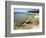 North Shore of Lake on Rocky Platform of Forested Laurentian Shield, Lake Superior, Canada-Tony Waltham-Framed Photographic Print