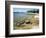 North Shore of Lake on Rocky Platform of Forested Laurentian Shield, Lake Superior, Canada-Tony Waltham-Framed Photographic Print