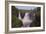 North Shore-Gordon Semmens-Framed Photographic Print