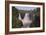 North Shore-Gordon Semmens-Framed Photographic Print