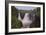 North Shore-Gordon Semmens-Framed Photographic Print