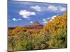 North Six Shooter Peak Framed With Yellow Fall Cottonwoods, Utah, USA-Bernard Friel-Mounted Photographic Print
