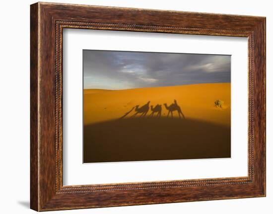 North Tafilalet, Erfoud, Merzouga, Erg Chebbi, Dromedary Camel Caravan-Emily Wilson-Framed Photographic Print