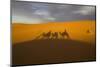 North Tafilalet, Erfoud, Merzouga, Erg Chebbi, Dromedary Camel Caravan-Emily Wilson-Mounted Photographic Print