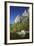 North West Face of Half Dome, and Mirror Lake, Yosemite NP, California-David Wall-Framed Photographic Print