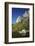 North West Face of Half Dome, and Mirror Lake, Yosemite NP, California-David Wall-Framed Photographic Print