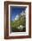 North West Face of Half Dome, and Mirror Lake, Yosemite NP, California-David Wall-Framed Photographic Print