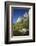 North West Face of Half Dome, and Mirror Lake, Yosemite NP, California-David Wall-Framed Photographic Print