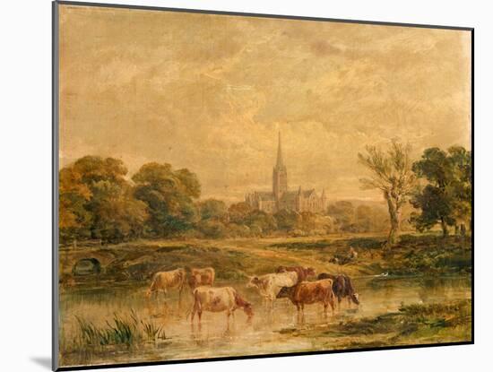 North-West Prospect of Salisbury Cathedral, Wiltshire-null-Mounted Giclee Print