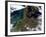 North Western Europe-Stocktrek Images-Framed Photographic Print