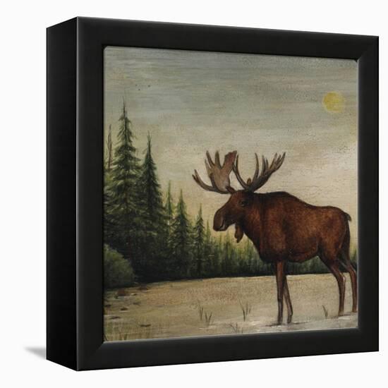 North Woods Moose II-David Cater Brown-Framed Stretched Canvas