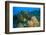 Northern Bahamas, Caribbean-Stuart Westmorland-Framed Photographic Print