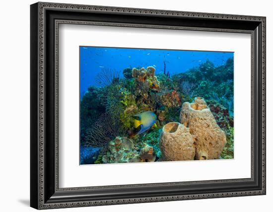 Northern Bahamas, Caribbean-Stuart Westmorland-Framed Photographic Print