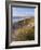 Northern Beach, Chatham Islands Islands-Julia Thorne-Framed Photographic Print