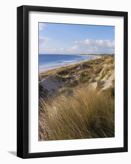 Northern Beach, Chatham Islands Islands-Julia Thorne-Framed Photographic Print