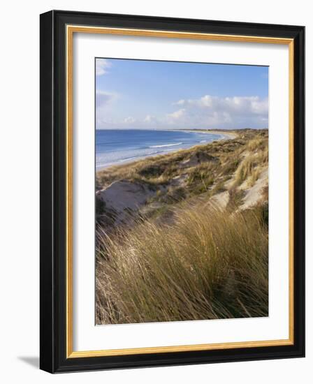 Northern Beach, Chatham Islands Islands-Julia Thorne-Framed Photographic Print