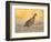 Northern Bobwhite Quail, Texas, USA-Larry Ditto-Framed Photographic Print