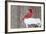 Northern Cardinal (Cardinalis Cardinalis) Adult Feeding in Snow-Larry Ditto-Framed Photographic Print