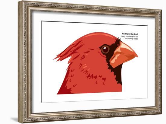 Northern Cardinal (Cardinalis Cardinalis), Birds-Encyclopaedia Britannica-Framed Art Print