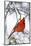 Northern Cardinal (Cardinalis cardinalis) perching on snowcapped juniper tree branch, Marion Co....-Panoramic Images-Mounted Photographic Print