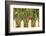 Northern Cardinal Male and Song Sparrow on Picket Fence, Illinois, Usa-Richard ans Susan Day-Framed Photographic Print