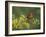 Northern Cardinal on Blooming Paloverde, Rio Grande Valley, Texas, USA-Rolf Nussbaumer-Framed Photographic Print