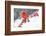 Northern cardinal perched on branch during snow storm, USA-Lynn M. Stone-Framed Photographic Print