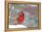Northern Cardinal-Gary Carter-Framed Premier Image Canvas