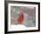 Northern Cardinal-Gary Carter-Framed Photographic Print