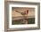 Northern Cardinals, Texas, USA-Larry Ditto-Framed Photographic Print