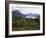 Northern Coniferous Forest Around Lake Skilak on the Kenai Peninsula, Alaska, USA-Jeremy Bright-Framed Photographic Print