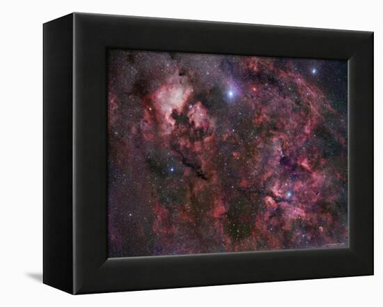 Northern Cygnus-Stocktrek Images-Framed Premier Image Canvas
