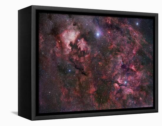 Northern Cygnus-Stocktrek Images-Framed Premier Image Canvas