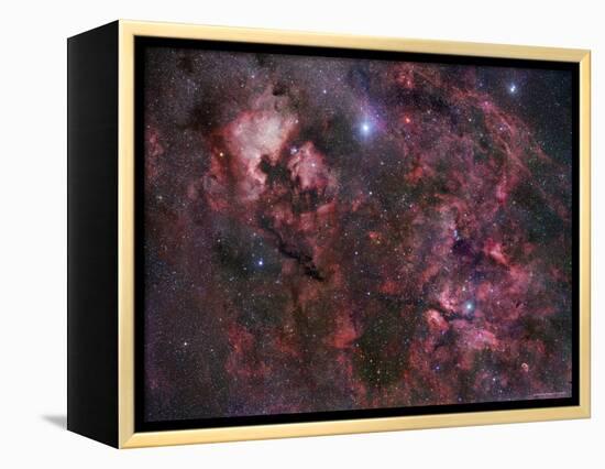 Northern Cygnus-Stocktrek Images-Framed Premier Image Canvas