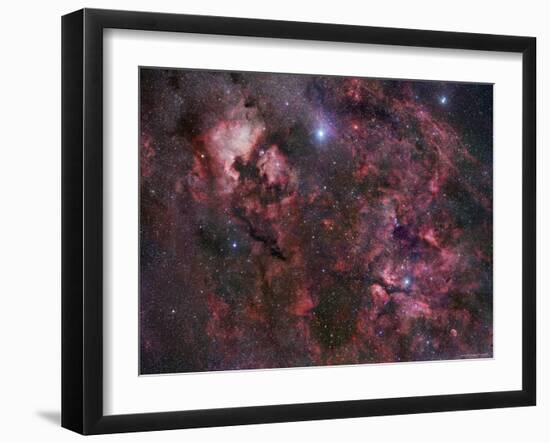 Northern Cygnus-Stocktrek Images-Framed Photographic Print