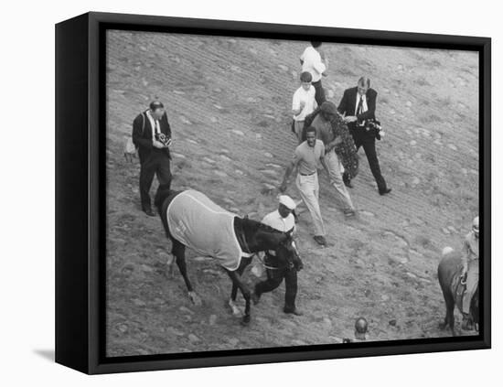 Northern Dancer after Winning the Kentucky Derby-null-Framed Premier Image Canvas