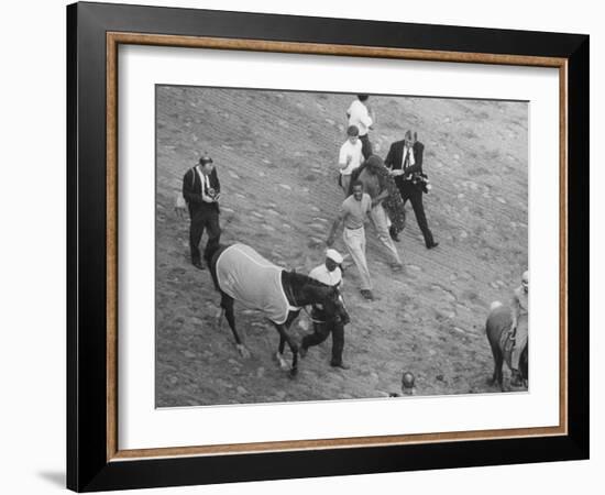 Northern Dancer after Winning the Kentucky Derby-null-Framed Photographic Print