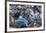 Northern elephant seals at Piedras Blancas Elephant Seal Rookery, San Simeon, California, USA-Russ Bishop-Framed Premium Photographic Print