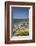 Northern Elephant Seals, Piedras Blancas Elephant Seal Rookery, Near San Simeon, California-David Wall-Framed Photographic Print