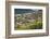 Northern Elephant Seals, Piedras Blancas Elephant Seal Rookery, Near San Simeon, California-David Wall-Framed Photographic Print