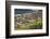 Northern Elephant Seals, Piedras Blancas Elephant Seal Rookery, Near San Simeon, California-David Wall-Framed Photographic Print