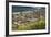 Northern Elephant Seals, Piedras Blancas Elephant Seal Rookery, Near San Simeon, California-David Wall-Framed Photographic Print