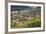 Northern Elephant Seals, Piedras Blancas Elephant Seal Rookery, Near San Simeon, California-David Wall-Framed Photographic Print